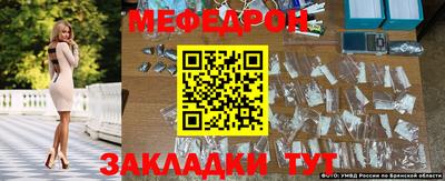 стаф Дубна