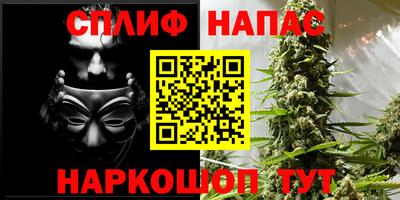 стаф Дубна