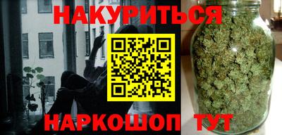стаф Дубна