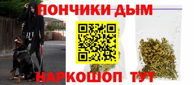стаф Дубна