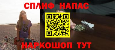 стаф Дубна