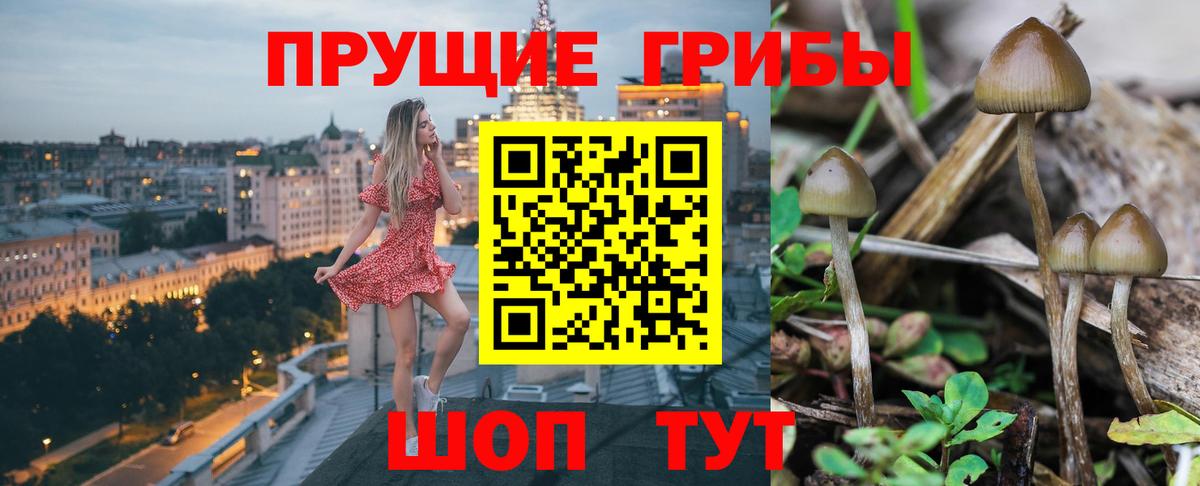 А ПВП Дивногорск