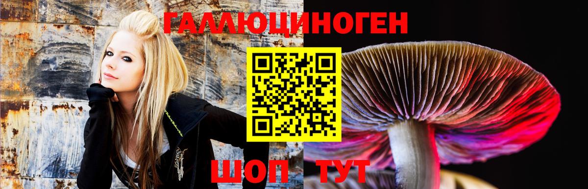 Дивногорск  Псилоцибиновые грибы MAGIC MUSHROOMS  Вход с VPN  Псилоцибиновые грибы Psilocybine cubensis 